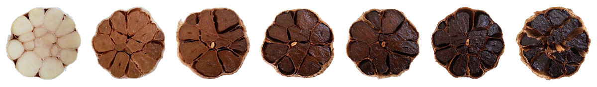 black-garlic-blog1